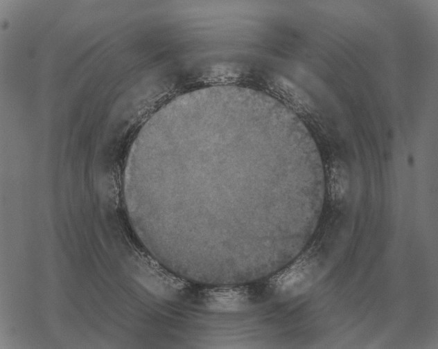 X0000067890370200605111857