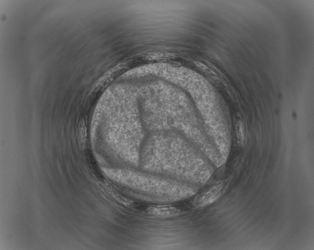 X0000067890372200605111857