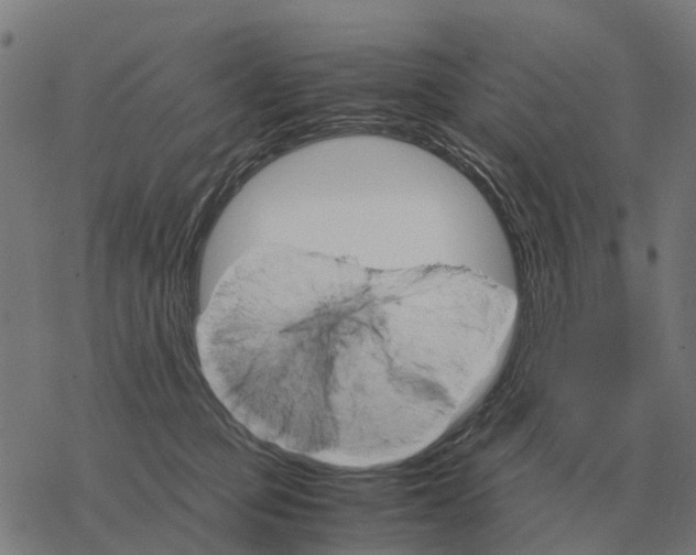 X0000067890373200605111857