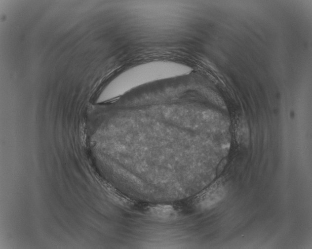 X0000067890374200605111857