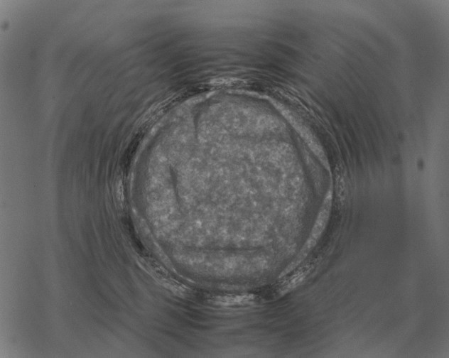 X0000067890375200605111857