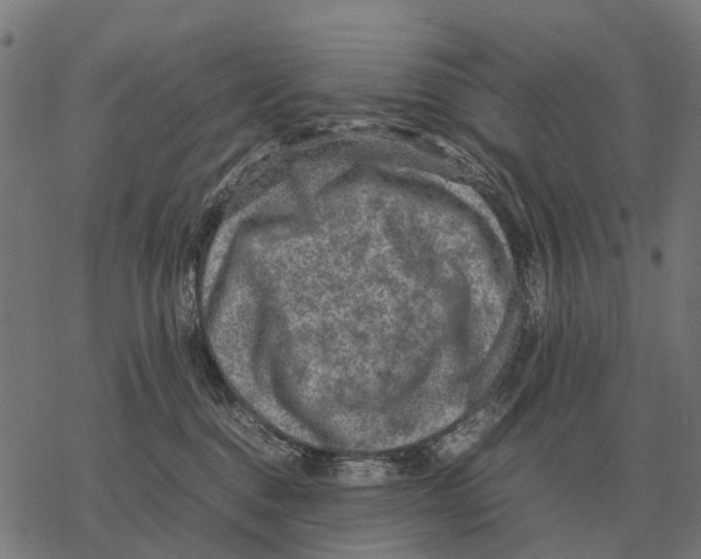 X0000067890376200605111857