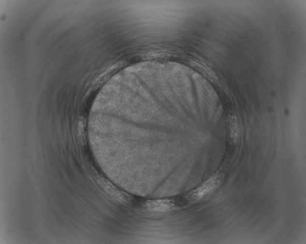 X0000067890378200605111857