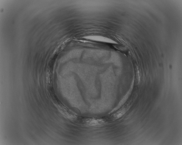 X0000067890379200605111857