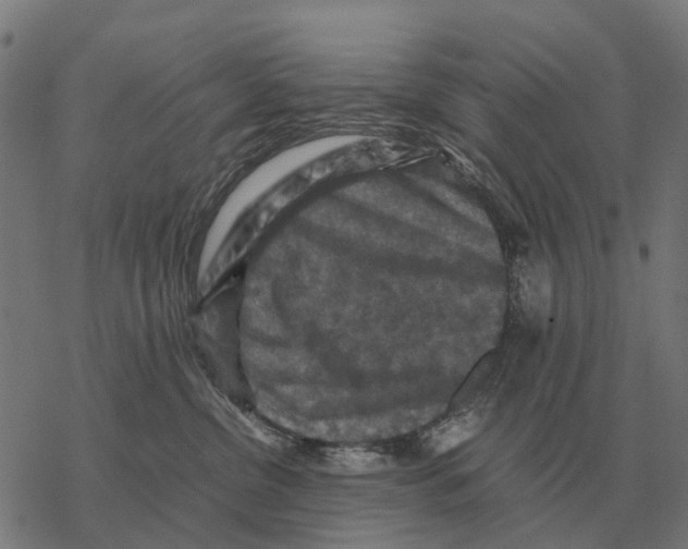 X0000067890380200605111857