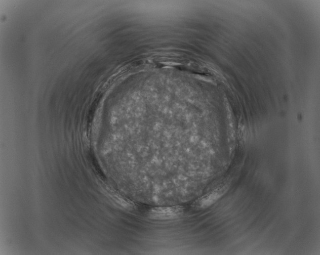 X0000067890381200605111857