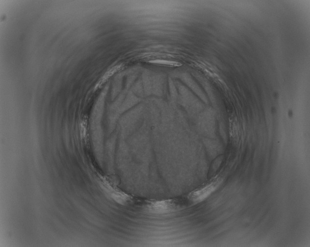 X0000067890382200605111857