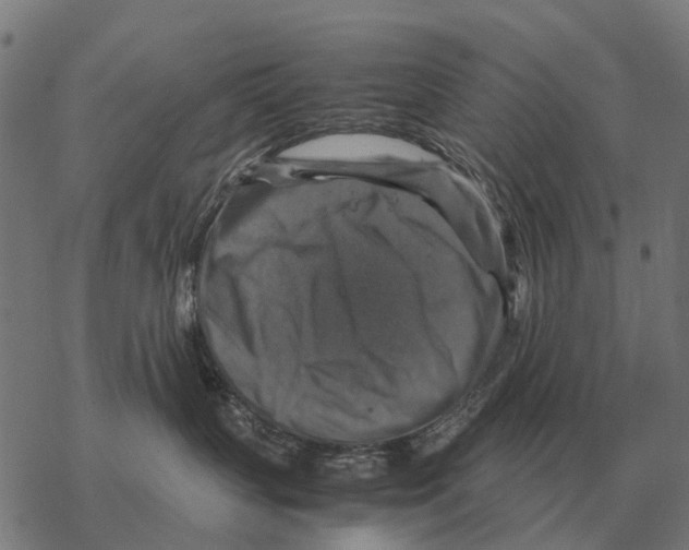 X0000067890383200605111857