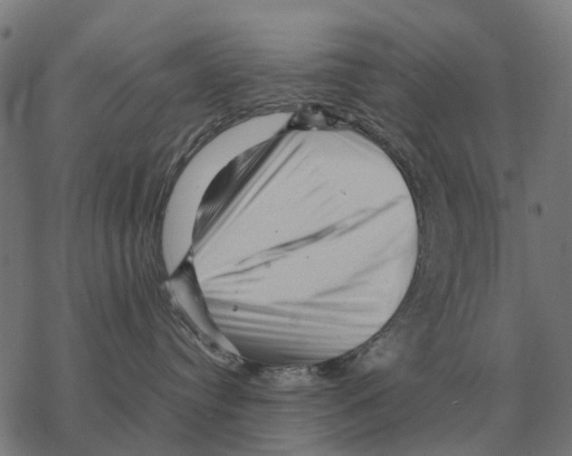 X0000067890384200605111857