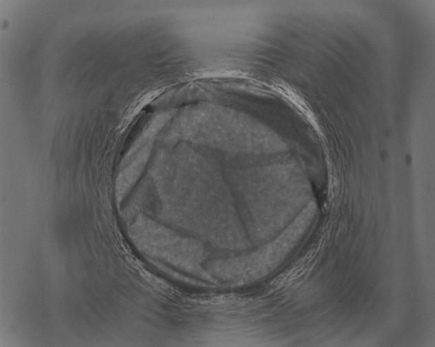 X0000067890385200605111856