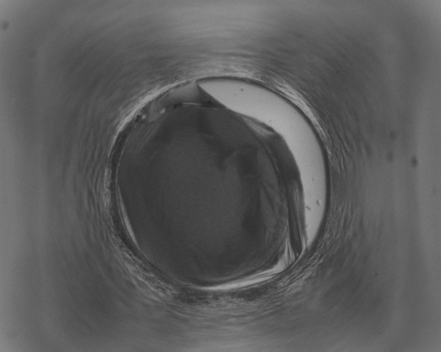 X0000067890387200605111856