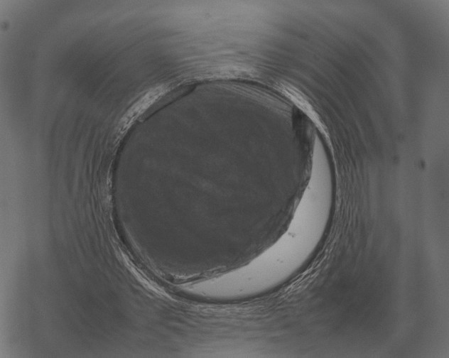 X0000067890389200605111856