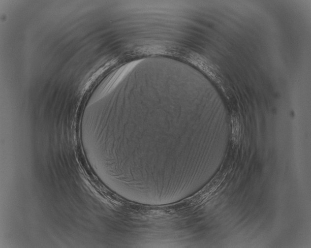 X0000067890390200605111856