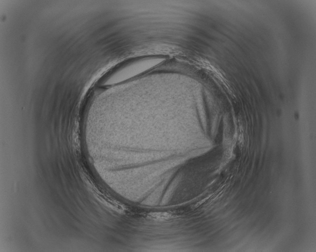 X0000067890392200605111856