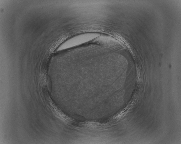 X0000067890393200605111856