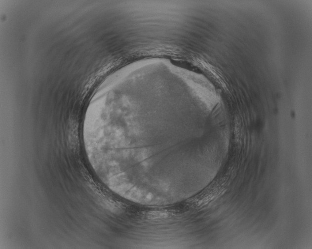 X0000067890394200605111856