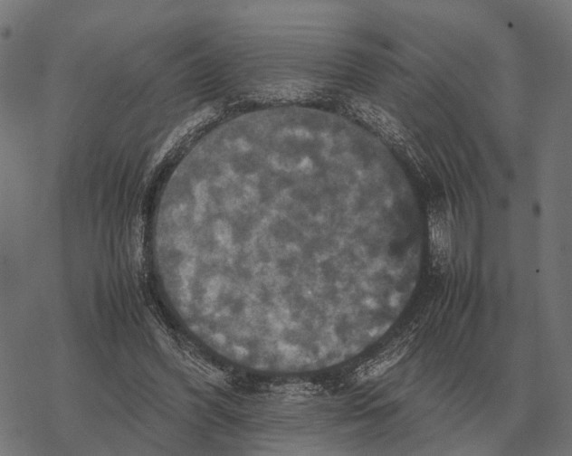 X0000067890396200605111856