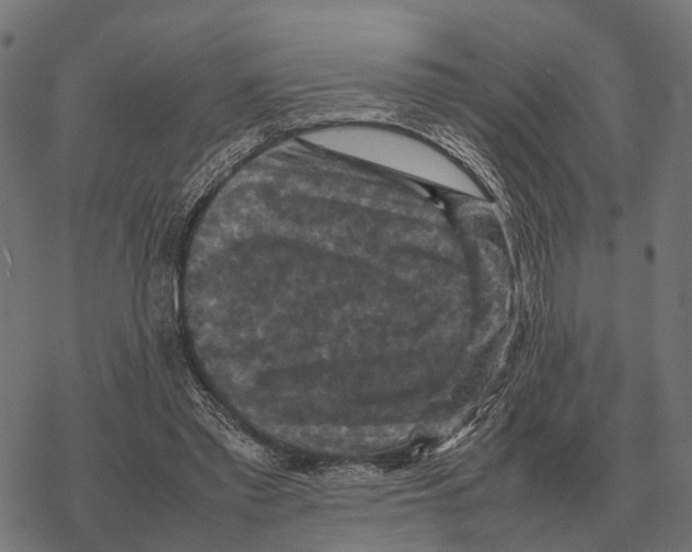 X0000067890397200605111856