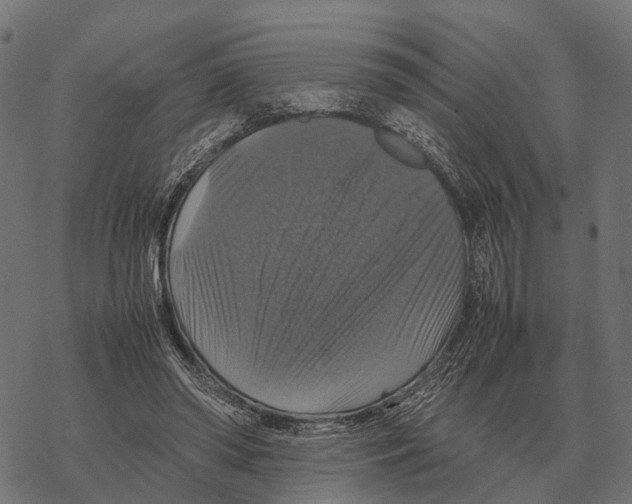 X0000067890398200605111856