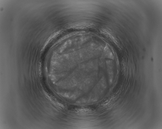 X0000067890400200605111856