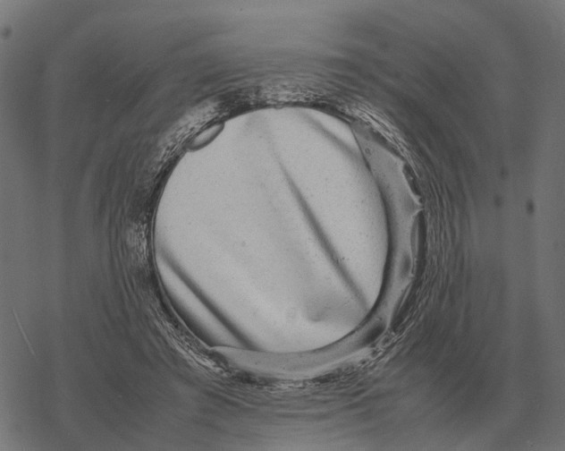 X0000067890401200605111856