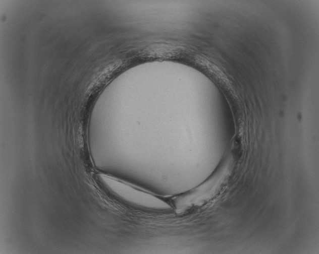 X0000067890403200605111856