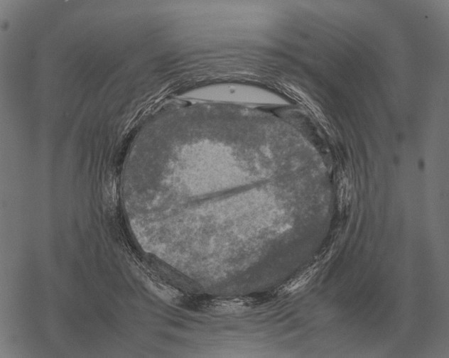 X0000067890405200605111856