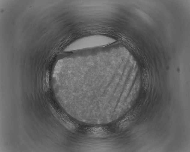 X0000067890406200605111856