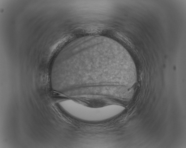 X0000067890407200605111856