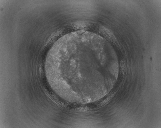 X0000067890408200605111856