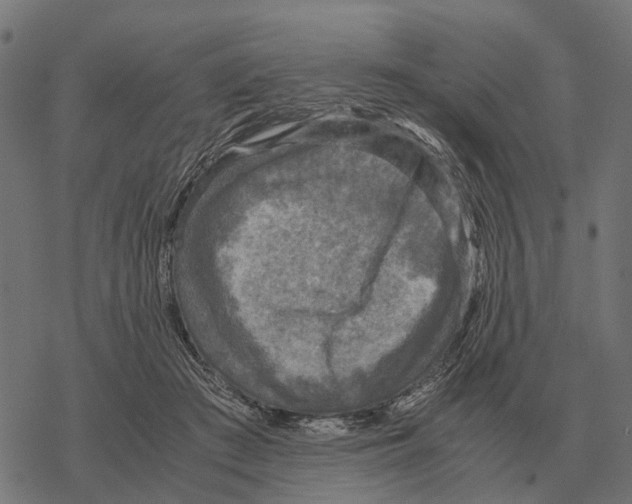 X0000067890409200605111856