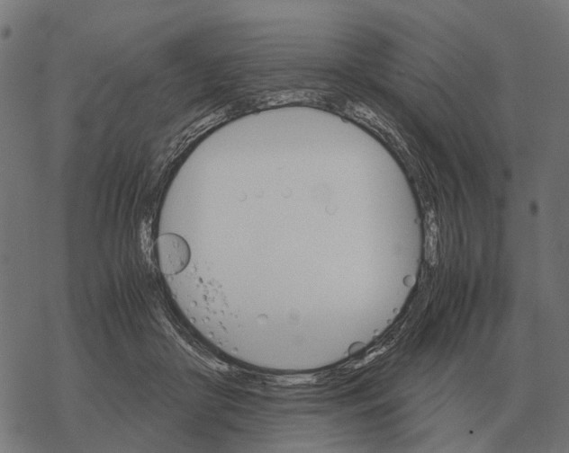 X0000067890410200605111856