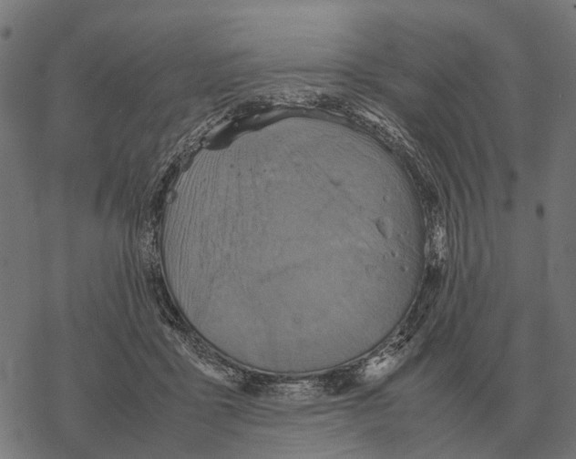 X0000067890411200605111856