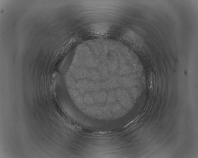 X0000067890412200605111856