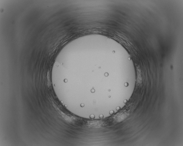 X0000067890414200605111856