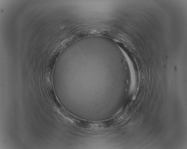 X0000067890415200605111856