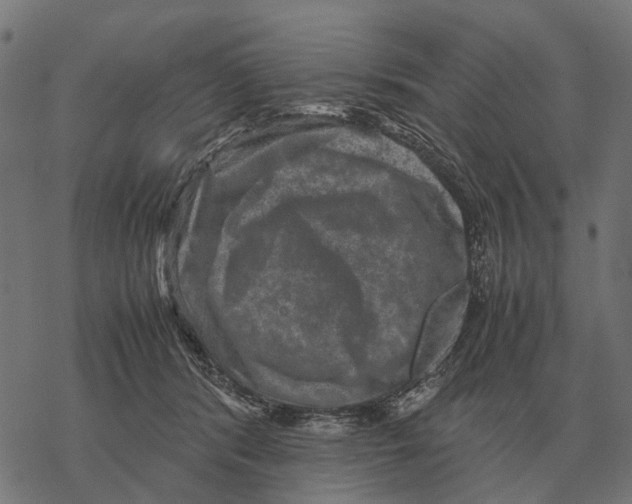 X0000067890416200605111856