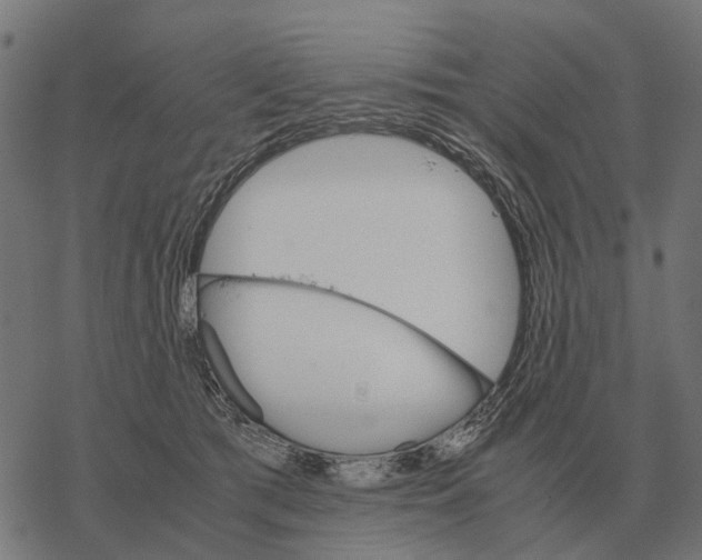 X0000067890417200605111856