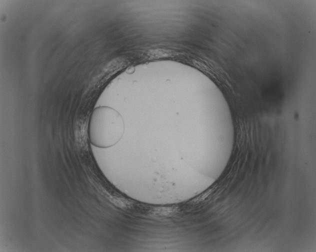 X0000067890418200605111856