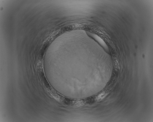 X0000067890419200605111856