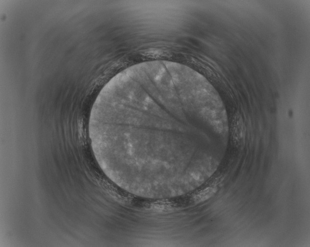 X0000067890420200605111856