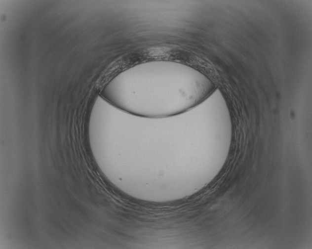 X0000067890421200605111856