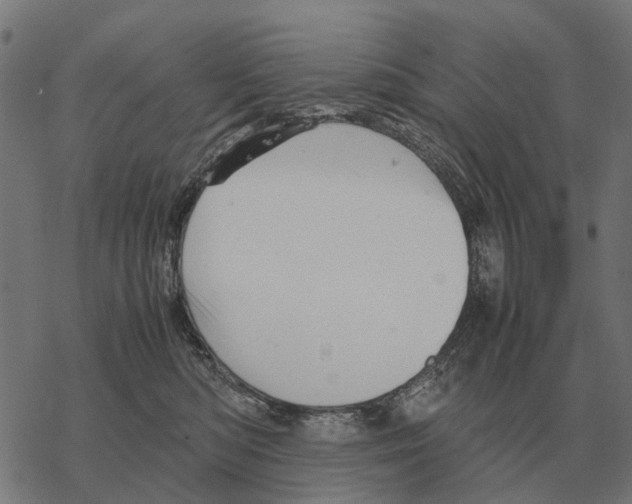 X0000067890422200605111856