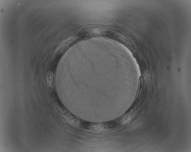 X0000067890423200605111856