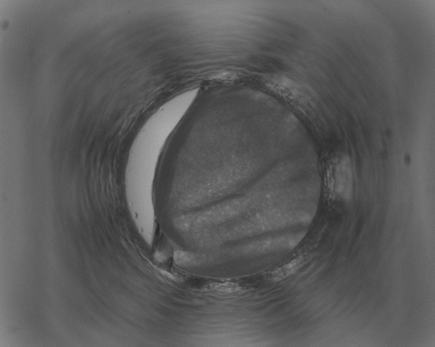 X0000067890424200605111856