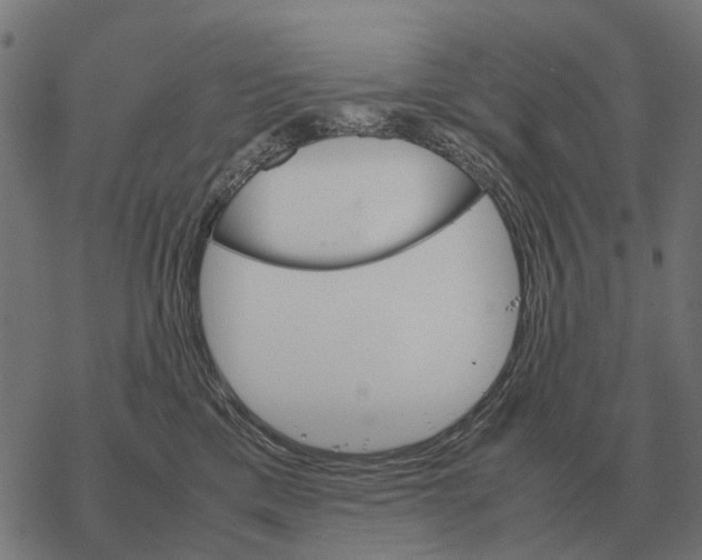 X0000067890425200605111856