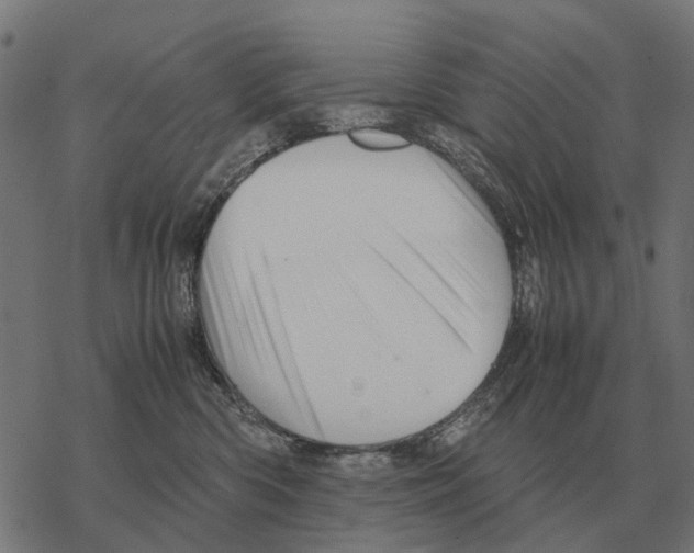 X0000067890426200605111856