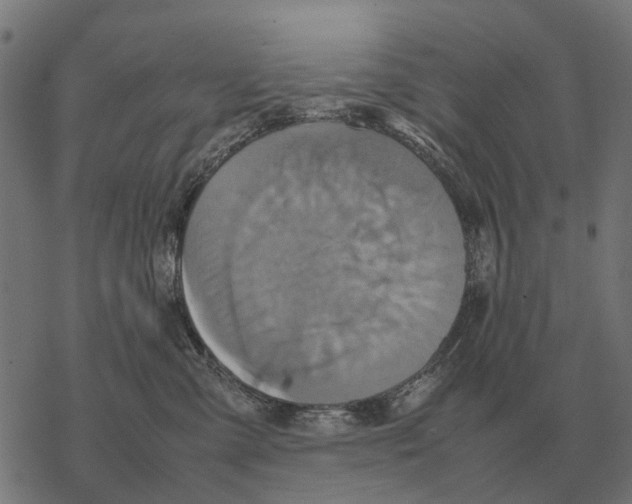 X0000067890427200605111856