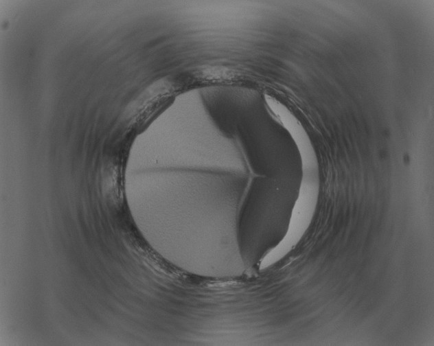 X0000067890428200605111856