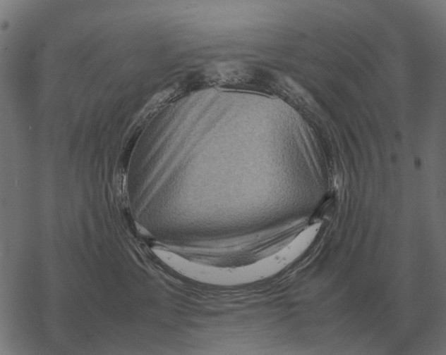 X0000067890429200605111855